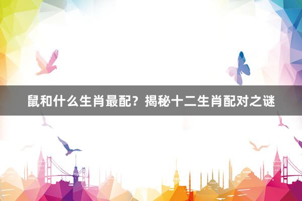 鼠和什么生肖最配？揭秘十二生肖配对之谜
